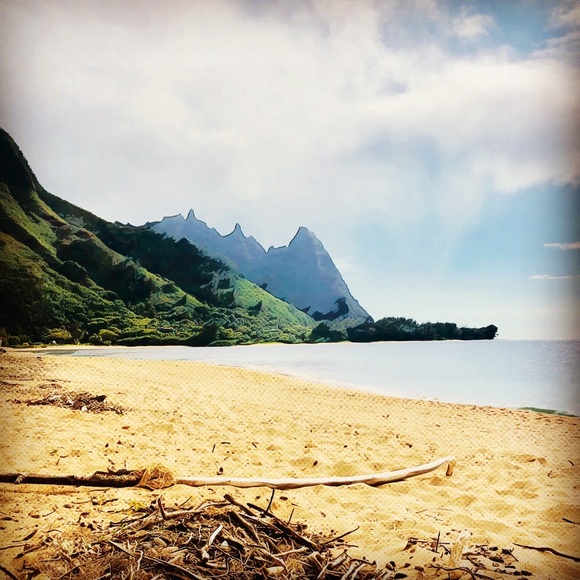 Meet your Posher, Flora - Picture 1 of 1